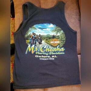 Vintage Iconic Harley Davidson advertisements on both sides.  Large